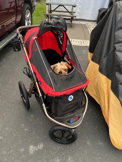 HPZ Pet Rover Run Performance Jogging Dog & Cat Stroller