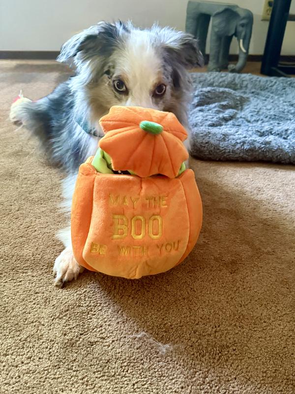 I like that you can hide him