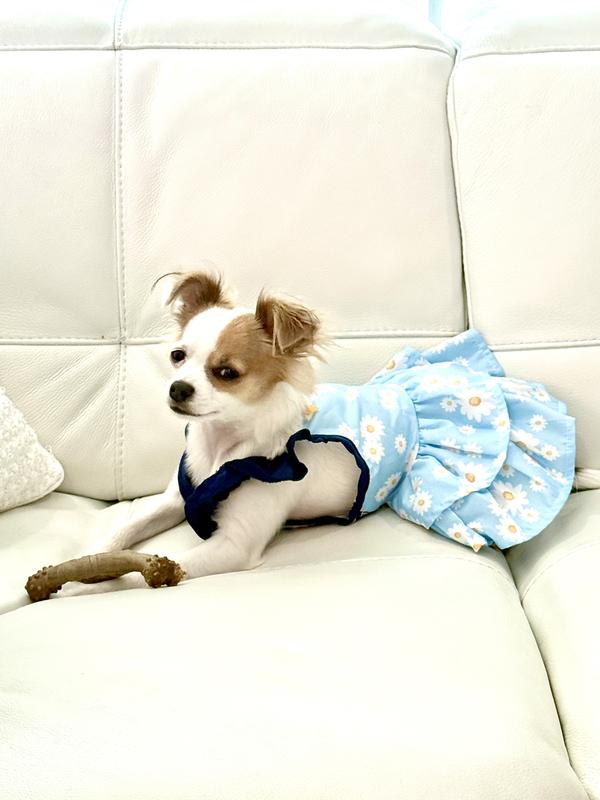 Just relaxing in my comfy and pretty new dress!