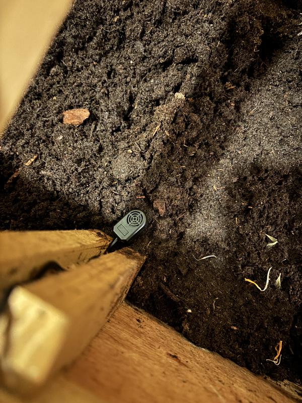 I started off with the hygrometer closer towards the wet substrate but ultimately decided to move it so it’s angled more midair. The reading did change by a few percentage points. I think this is the better spot for us.