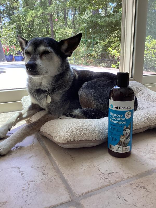 Chillin without itchin!