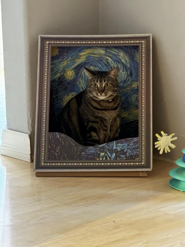 Roo in a start night