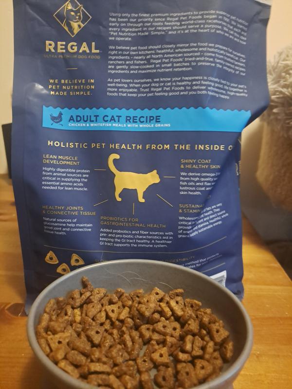 Regal Adult Cat Recipe