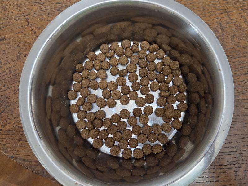Round pieces of kibble