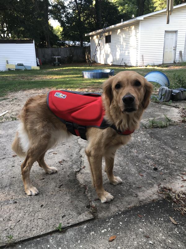 OUTWARD HOUND Neoprene Dawson Swimmer Dog Life Jacket, X-Large - Chewy.com