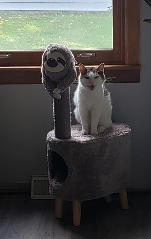 FRISCO Animal Series Cat Condo, Sloth