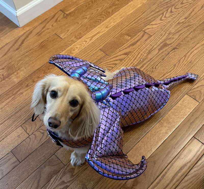 Defender of our castle