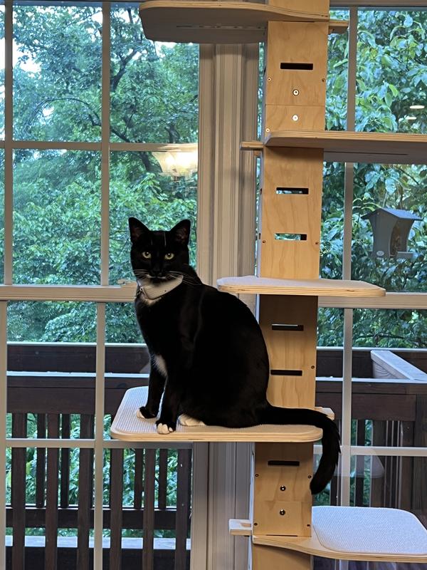 COZIWOW Floor to Ceiling Adjustable Height Cat Tree Tower, 98-114in ...