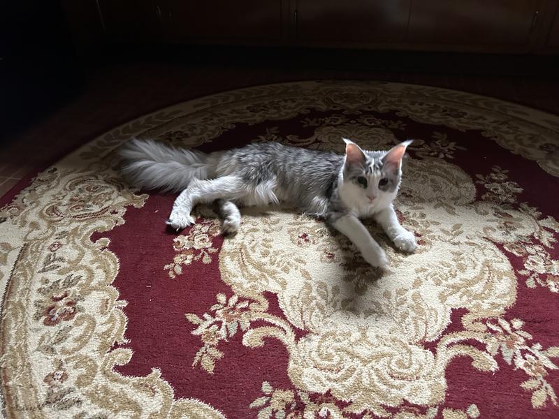 Satisfied with a full belly!