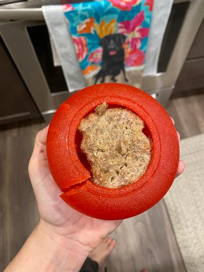 Starmark Everlasting Treat Bento Ball Dog Chew Toy — Concord Pet Foods &  Supplies