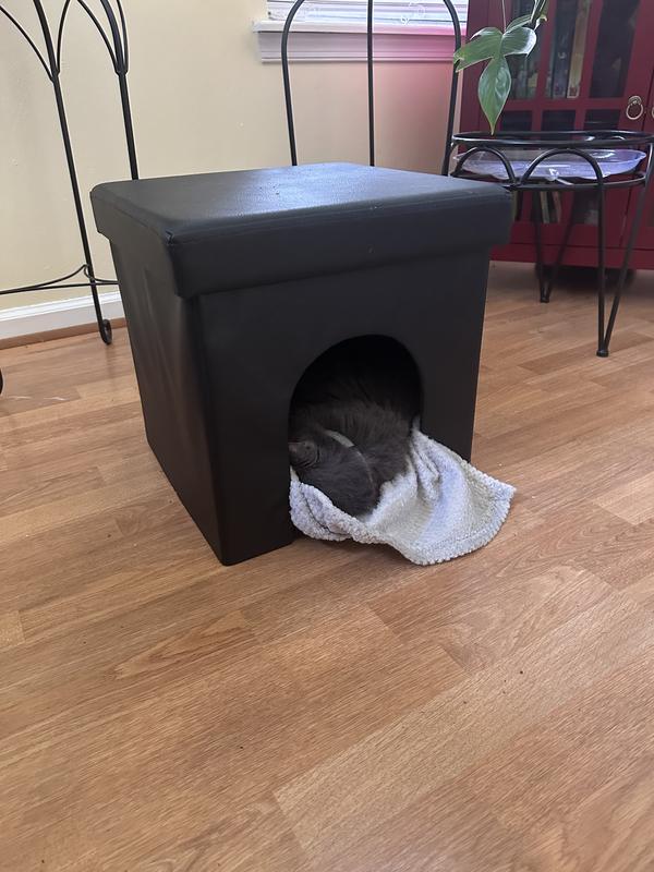 Doing what she does best.