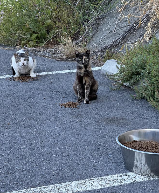 Do we have to share with the entire colony?