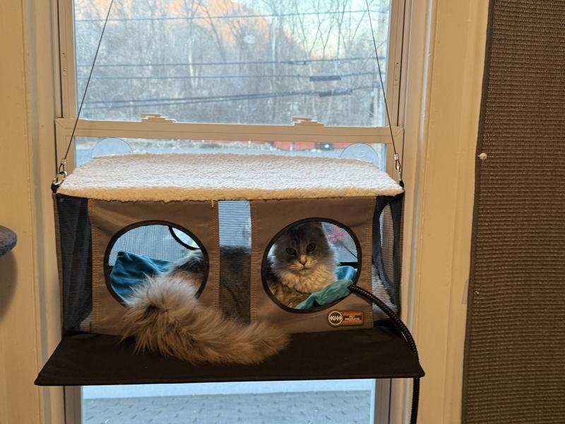 The heating pad wire actually goes out the side hole but in this picture he had just thrown it in before going out.