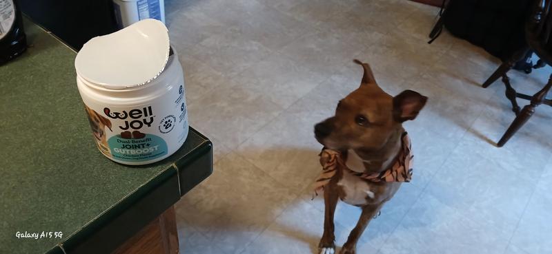 He is looking excitedly at the package, they do smell tasty!