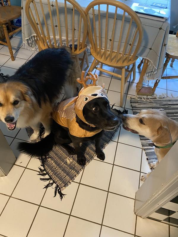 “Hey, how come WE can’t wear this?”