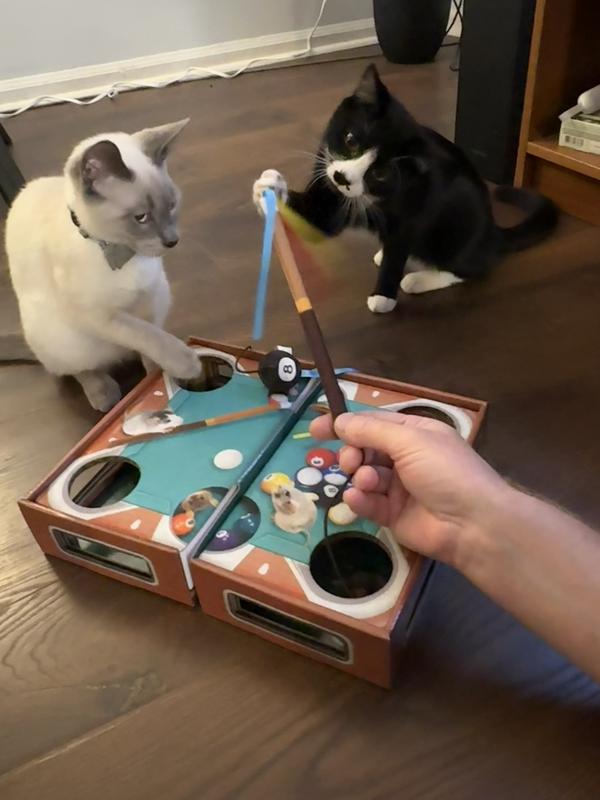 KONG Playground Pool Table Game & Puzzle Cat Toy with Catnip ...
