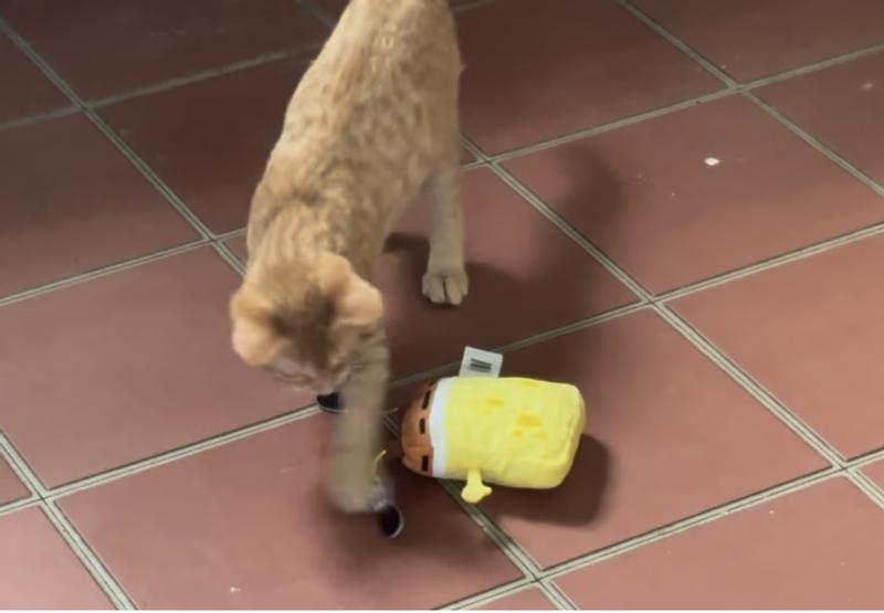 Let's slap this boy a bit!!!