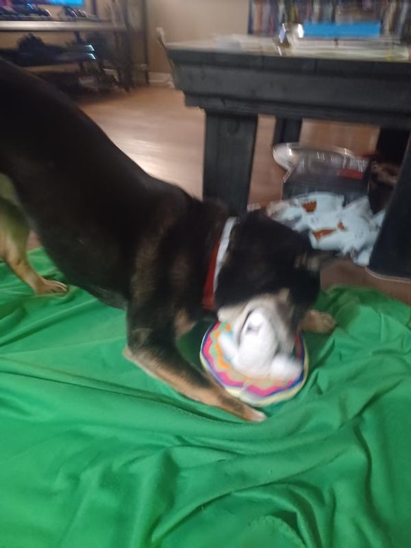 Immediately after wrenching it from my grasp.