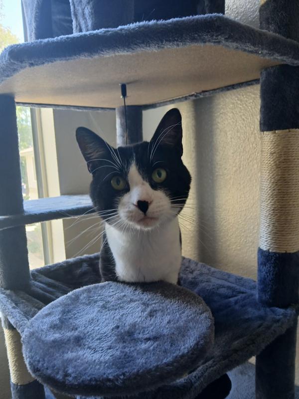 Charlie kinda likes it!