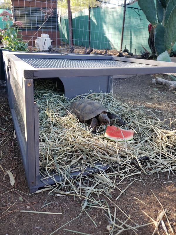 PawHut Wooden Indoor/Outdoor Tortoise Habitat