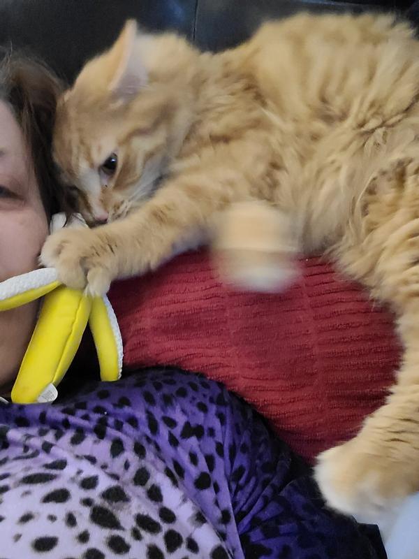 KONG Better Buzz Banana Cat Toy