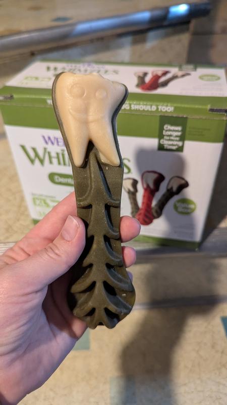 Great for large dogs!