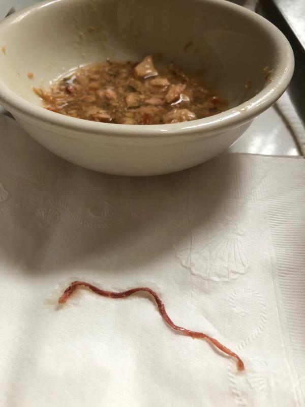 FANCY FEAST Classic Broths with Wild Salmon & Vegetables Supplemental Wet Cat Food Pouches, 1.4