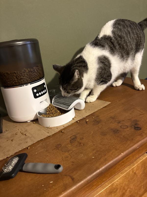 Groom before, during and after chow.