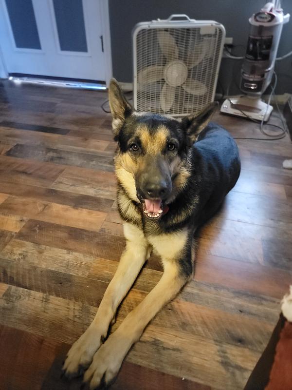 Max