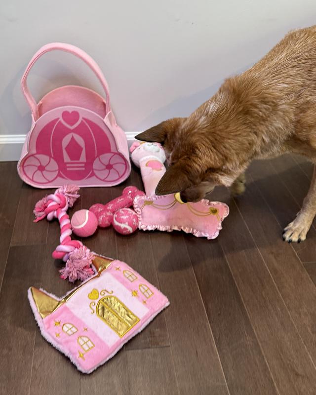 FRISCO Celebration Bag Princess Party Variety Pack Dog Toy, Medium