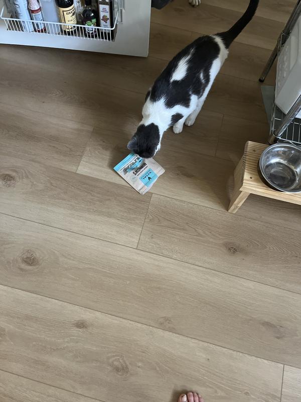 Vital Essentials Salmon Bites Freeze-Dried Raw Cat Treats