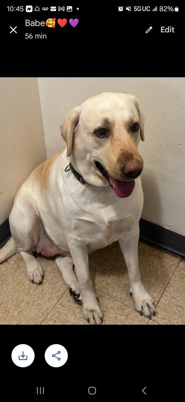 Smiling because her left ear is fine now using the medication