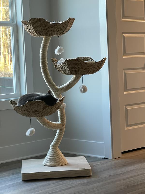 She’s asleep in the bottom basket🥰