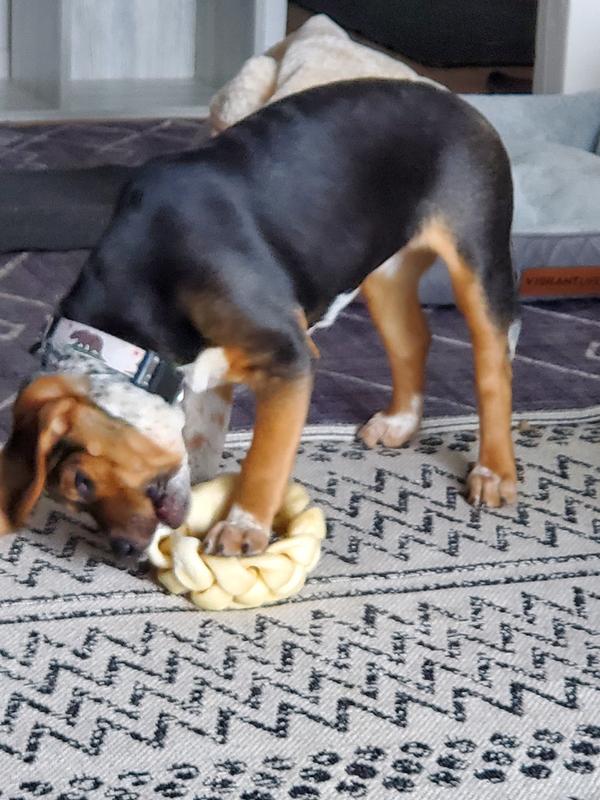 Doesn't care about anything else.