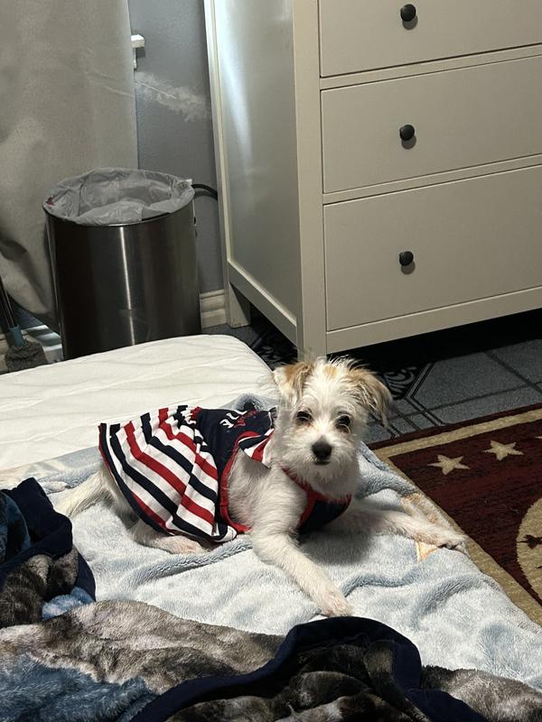 Back from the vet (not so excited anymore)