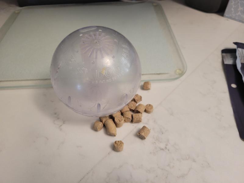 Ready to load the "dog busy ball"