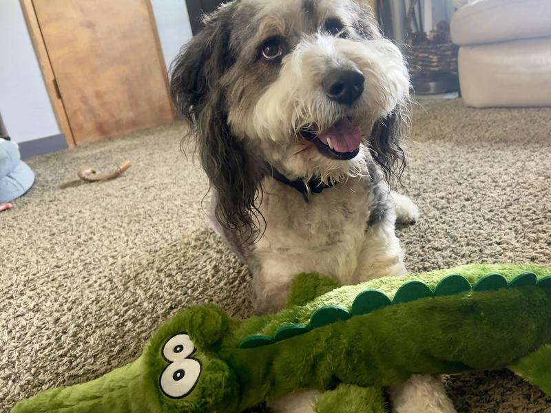 Happy Birthday Jackson