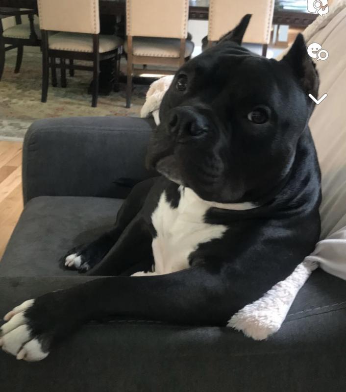 Tyson approved!