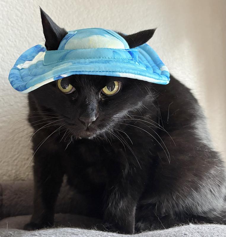 Daisy is not a happy camper!