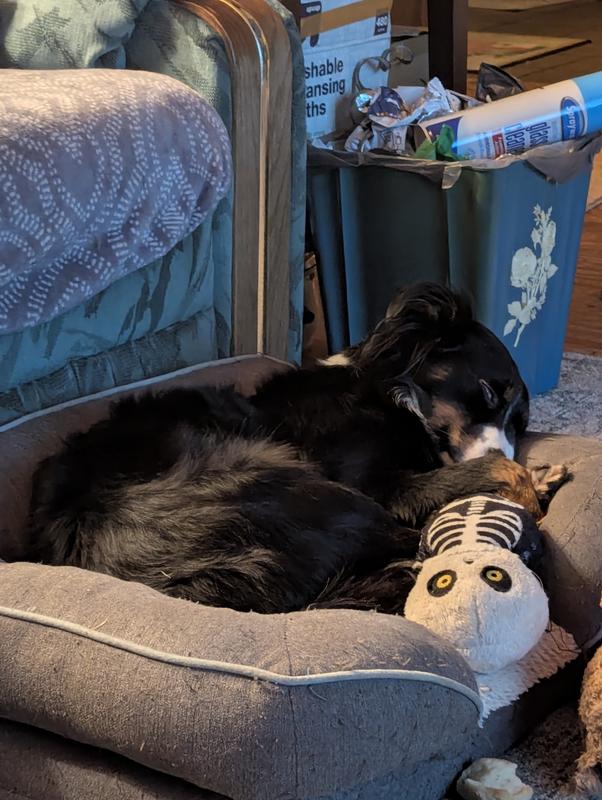 Even sleeps with the toy!