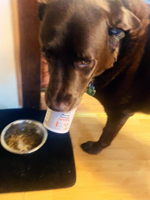 Elvis approved — he’ll even bring it to his bowl!