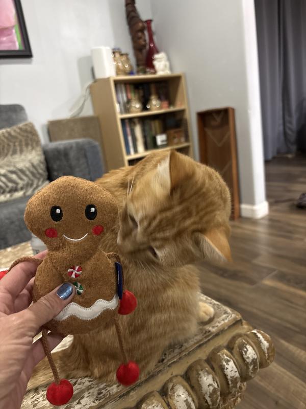 ginger kitty & gingerbread!!!!!!