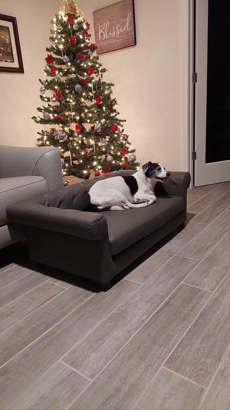 She loves her sofa