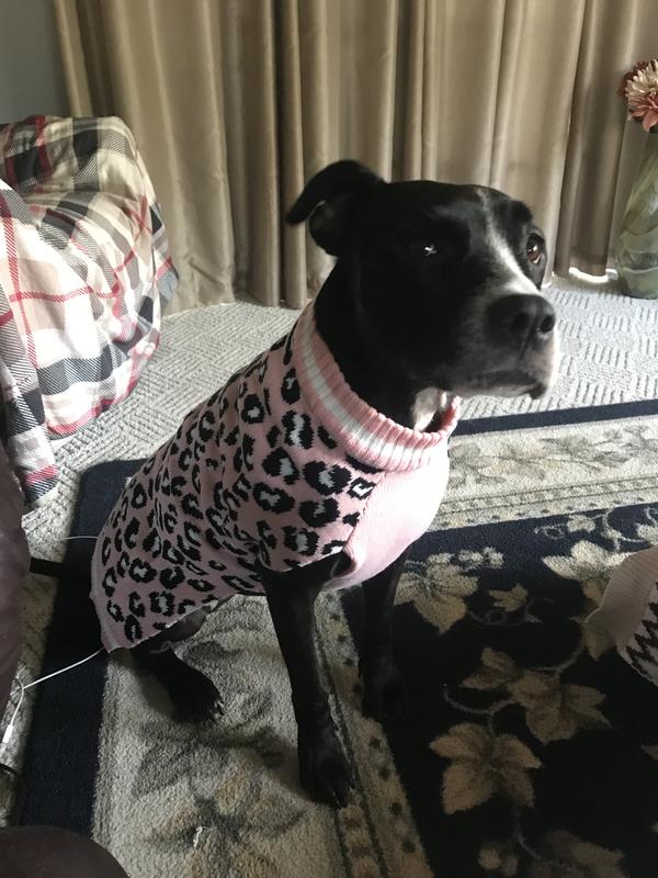 FRISCO Leopard Print Dog & Cat Sweater, Pink, XX-Large - Chewy.com