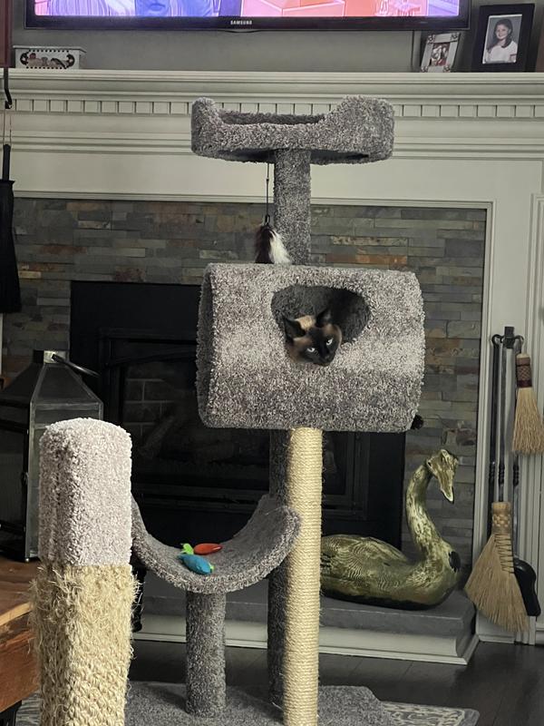 FRISCO 53in Real Carpet Cat Tree with Tunnel, Beige