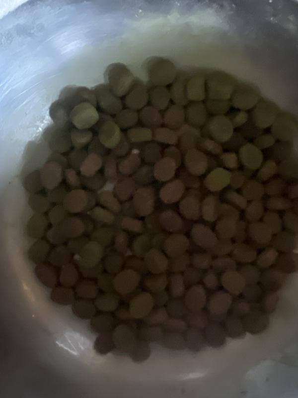 Food been sitting here all day, not eaten