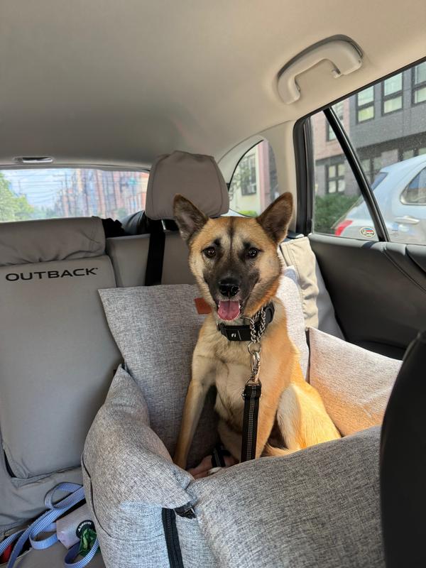 Glad it doesn't have a bolster because she's already pretty tall when she sits up.