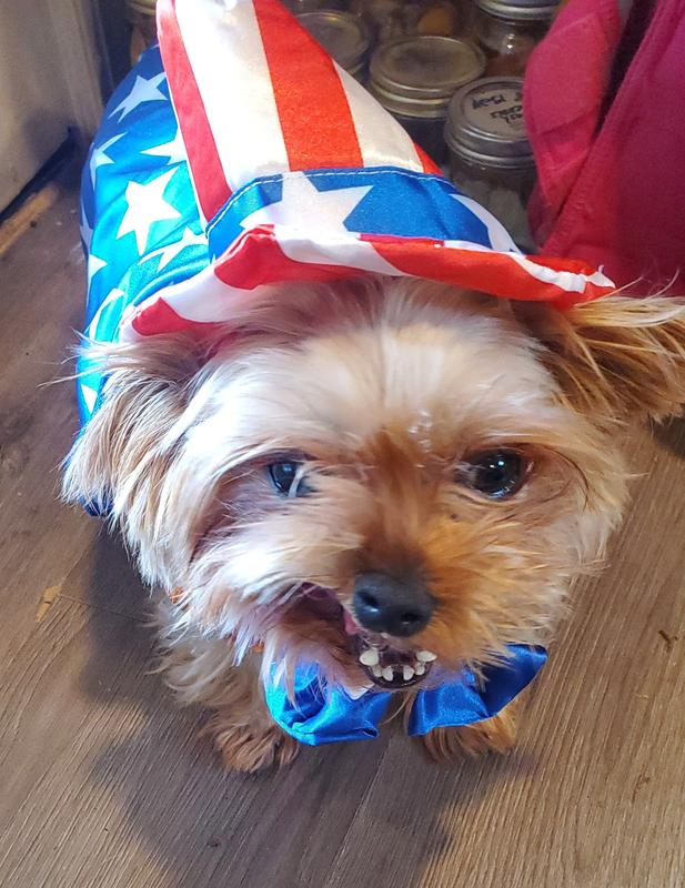 Willie