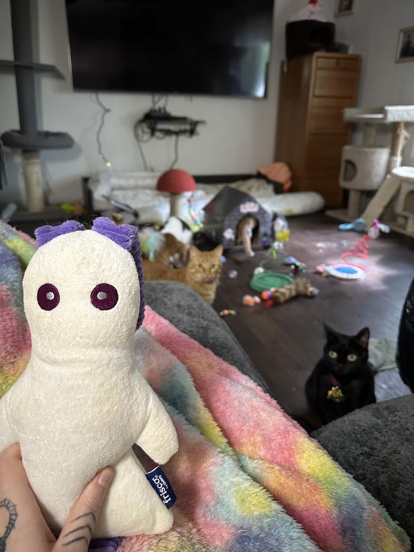 As you can see, my cats are impatiently waiting in the background haha