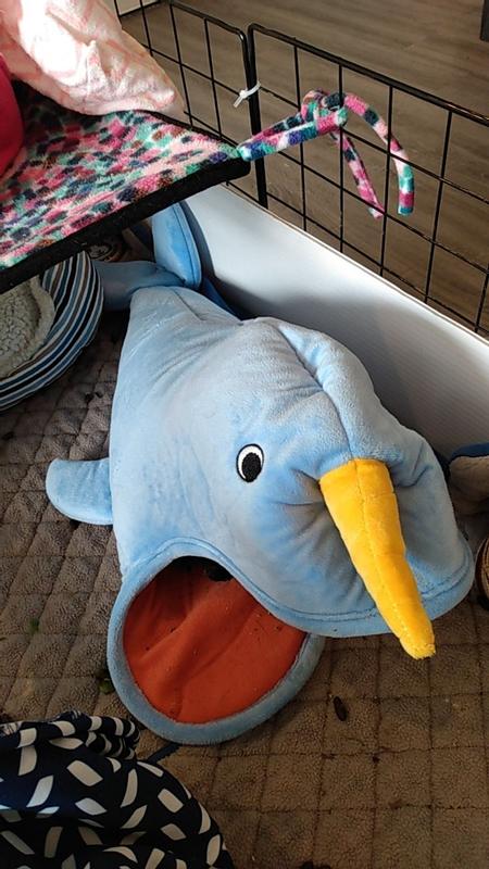 Narwhal post wash and dry (and form attempt)